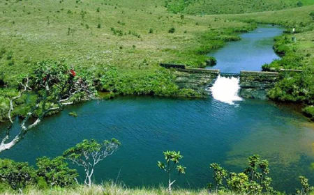 සොබා දහමේ අසිරිමත් කවිය කියවන්න හෝර්ටන් තැන්න වෙත එන්න...