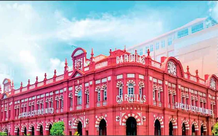 සුද්දන්ගේ සාප්පුවක් පුංචි මිනිසුන්ගේ නගරයක් බවට පරිවර්තනය කළ විප්ලවීය මිනිසෙකුගේ කතාව...