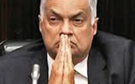 ශ්‍රී ලාංකේය දේශපාලන කරළියේ  හය වරක් අගමැති වූ  හය වරක් විපක්ෂ නායක වූ එක්වරක් ජනාධිපති වූ කවුද මේ රනිල් වික්‍රමසිංහ....