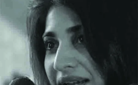 මංමුලා වූ සමනලියට අජාන් බ්‍රහ්මවන්සෝ හිමියන්ගෙන් උත්තර