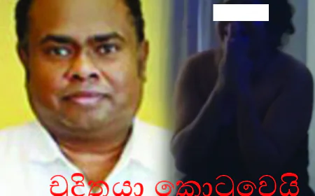 කාන්තාවක් නිරුවත් කළ ව්‍යාපාරිකයා කොටුවෙයි...