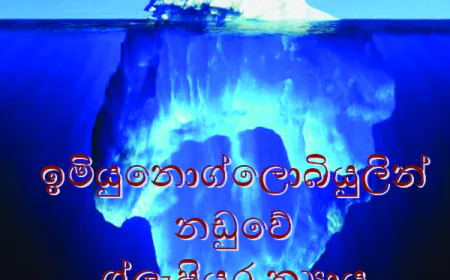 ප්‍රමිතියක් නැති වුවත්   ඉන්දියානු ඖෂධ ගත යුතුයි..?    වන්දි ඉල්ලන්න අයිතියකුත් නෑ..!