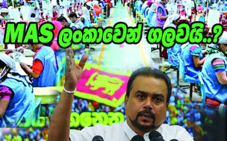 MAS ලංකාවෙන් ගලවයි..?