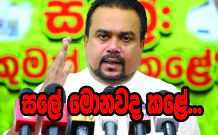 බුද්ධි අංශ ප්‍රධානී සුරේෂ් සලේ අත්අඩංගුවට ගැනීම කොටි ඩයස්පෝරාව සතුටු කරන නරුම පාවාදීමක්...