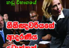 නීතීඥවරියගේ ආදරණීය ටොක්කක්..!