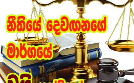 නීතියේ දෙවඟනගේ  මාර්ගයේ වයි හන්දියක්...