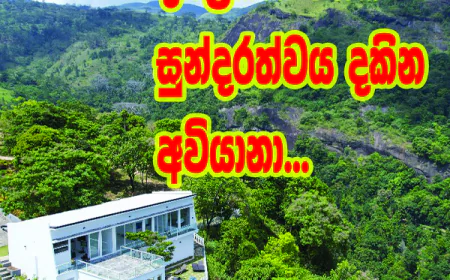 දිස්ත්‍රික්ක පහක සුන්දරත්වය  එකවර නැරඹියහැකි  ශ්‍රී ලංකාවේ පළමු තරු 7 හෝටලය