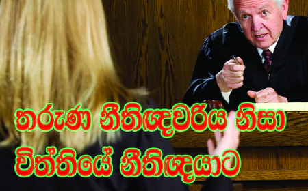 තරුණ නීතිඥවරිය නිසා විත්තියේ නීතිඥයාට ප්‍රශ්නත් අමතක වෙලා...