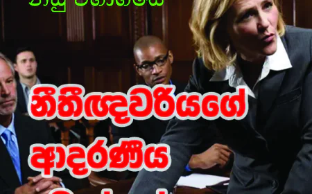 නීතීඥවරියගේ ආදරණීය ටොක්කක්..!
