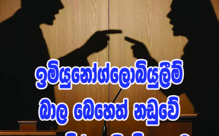 ඉමියුනෝග්ලොබියුලීම්  බාල බෙහෙත් නඩුවේ ඇඟ බේරාගැනීමේ කලාව