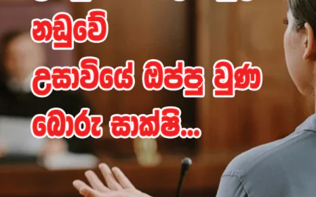 ඉමියුනොග්ලෝබියුලින්  නඩුවේ උසාවියේ ඔප්පු වුණ බොරු සාක්ෂි