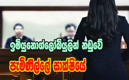 ඉමියුනොග්ලෝබියුලින් නඩුවේ පැමිණිල්ලේ සාක්ෂියේ  වෘත්තීය ගරුත්වය...