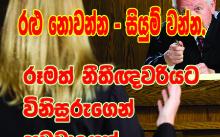 රළු නොවන්න - සියුම් වන්න. රූමත් නීතීඥවරියට විනිසුරුතුමන්ගෙන් අවවාදයක්...