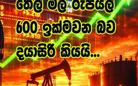 තෙල් මිල රුපියල්  “600 ඉක්මවන බව” දයාසිරි කියයි...