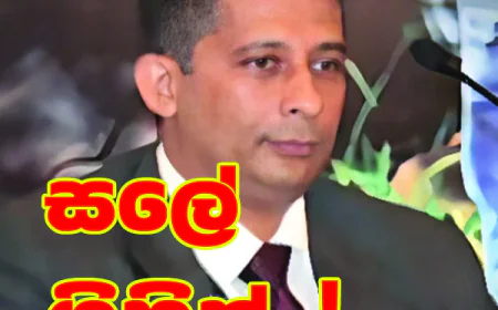 සලේ ගිහින්..!