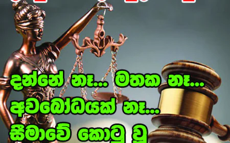 දන්නේ නෑ... මතක නෑ... අවබෝධයක් නෑ...  සීමාවේ කොටු වූ තවත් සාක්ෂියක්...