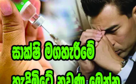සාක්ෂි මගහැරීමේ  හැදිමිටේ නුවණ මෙන්න...