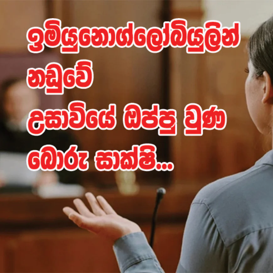 ඉමියුනොග්ලෝබියුලින්  නඩුවේ උසාවියේ ඔප්පු වුණ බොරු සාක්ෂි