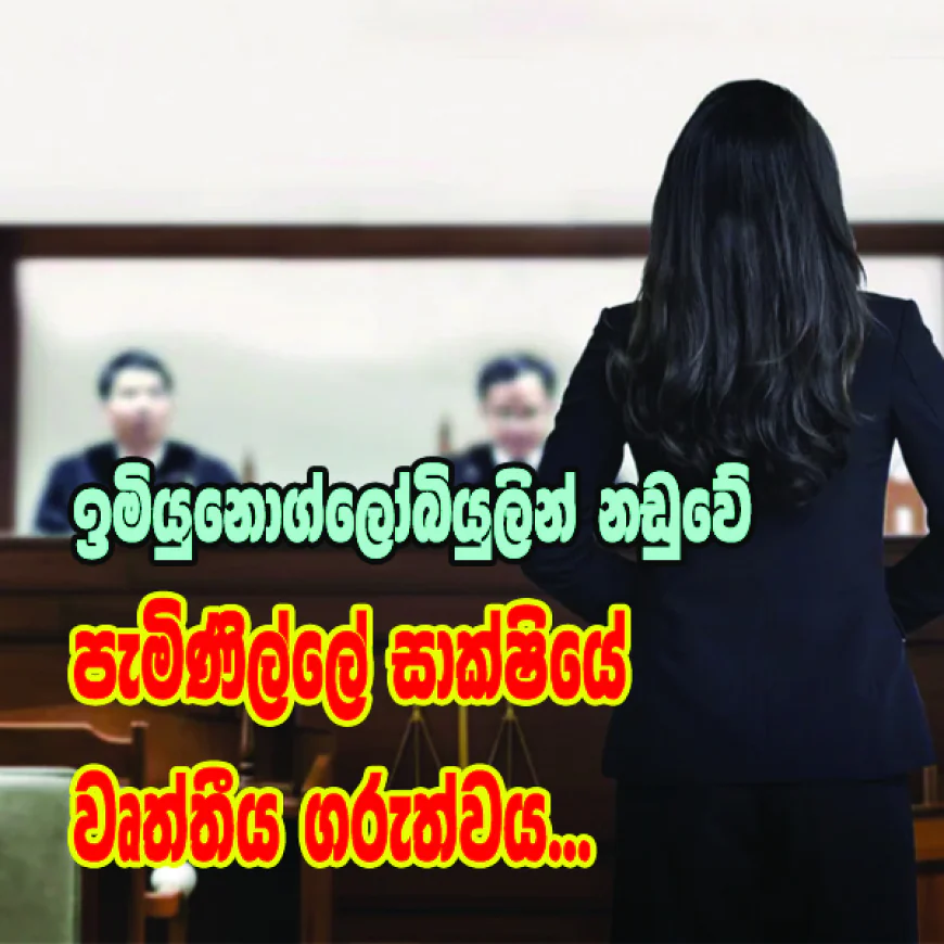 ඉමියුනොග්ලෝබියුලින් නඩුවේ පැමිණිල්ලේ සාක්ෂියේ  වෘත්තීය ගරුත්වය...