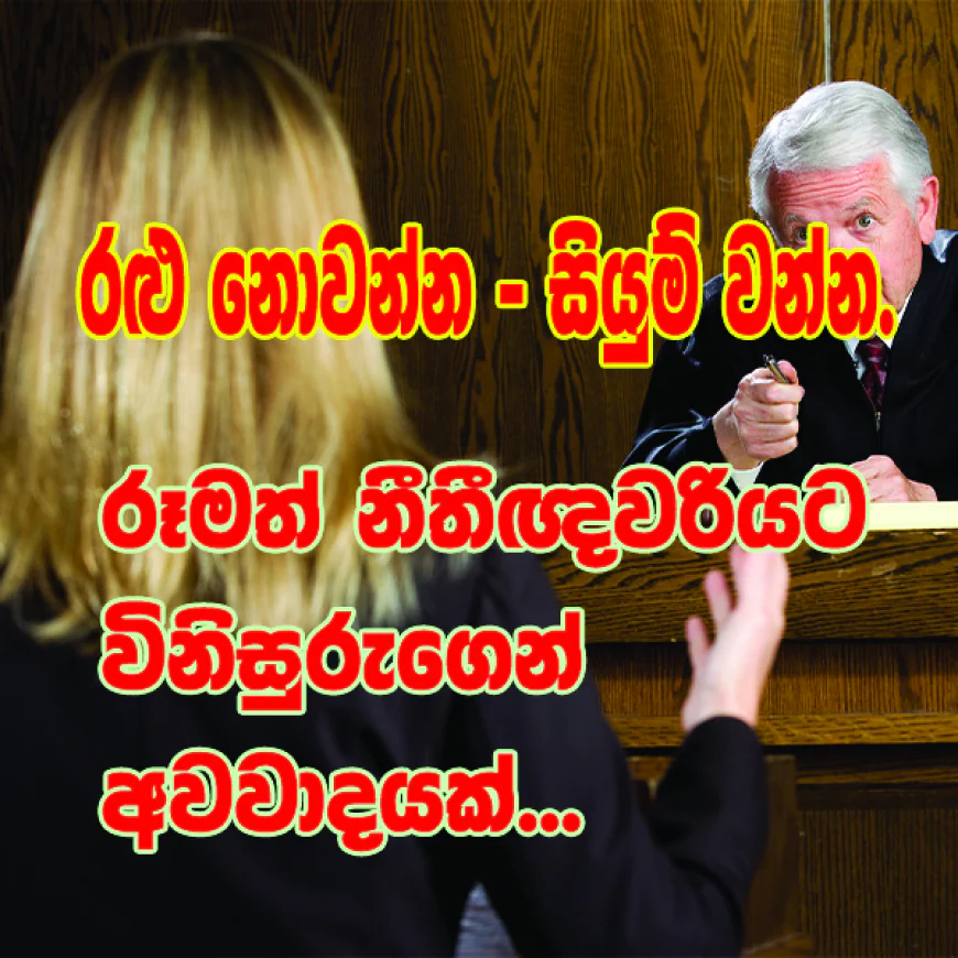 රළු නොවන්න - සියුම් වන්න. රූමත් නීතීඥවරියට විනිසුරුතුමන්ගෙන් අවවාදයක්...