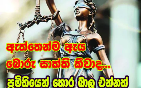 ඇත්තෙන්ම ඇය බොරු සාක්කි කීවාද...