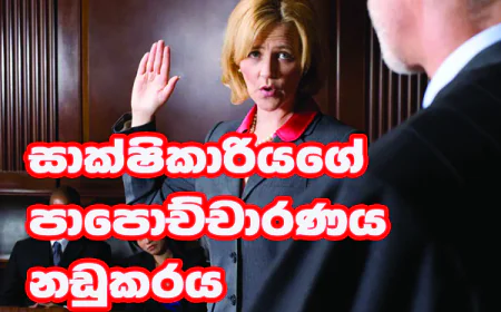 ඉහළ නිලධාරීන්ගේ  උපදෙස් මත වැඩකළත්...  අප අතිනුත් අතපසුවීම් වෙනවා...
