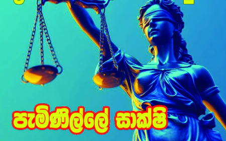 ප්‍රමිතියෙන් තොර ඖෂධ නඩුවේ පැමිණිලිකාරියගේ සාක්ෂි පරස්පරයි...