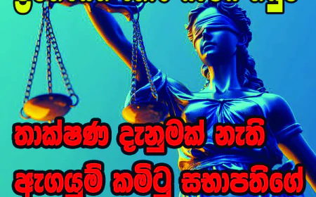 තාක්ෂණ දැනුමක් නැති ඇගයුම් කමිටුවේ සභාපති... උපකල්පන මත අත්සන් කරලා...