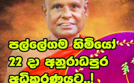 හේමරතන හිමියෝ 22 වෙනිදා අනුරාධපුර මහේස්ත්‍රාත් හමුවට