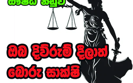 ඔබ දිව්රුම් දීලාත් බොරු සාක්ෂි දෙනවා...