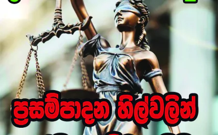“කාර්යබහුලත්වය හා නොසැලකිල්ල” මෙන්ම  “අන්ධ විශ්වාසය” අක්‍රමිකතාවලට පාර කැපුවාද...