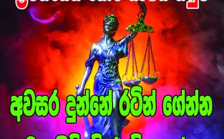අවසර දුන්නේ ඖෂධ රටින් ගෙන්වන්න..  ලංකාවේ නිපදවන්න නොවේ...