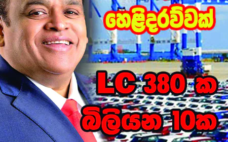බදු පැනවීමට පෙරදින රහසින් විවෘත කළ LC 380 ක  මහා බදු මංකොල්ලය මෙන්න!