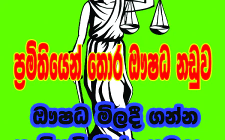 කැබිනට් නියෝග කඩකර ඖෂධ මිලදී ගන්න  ප්‍රසම්පාදන කමිටුවට බලයක් තිබුණාද?