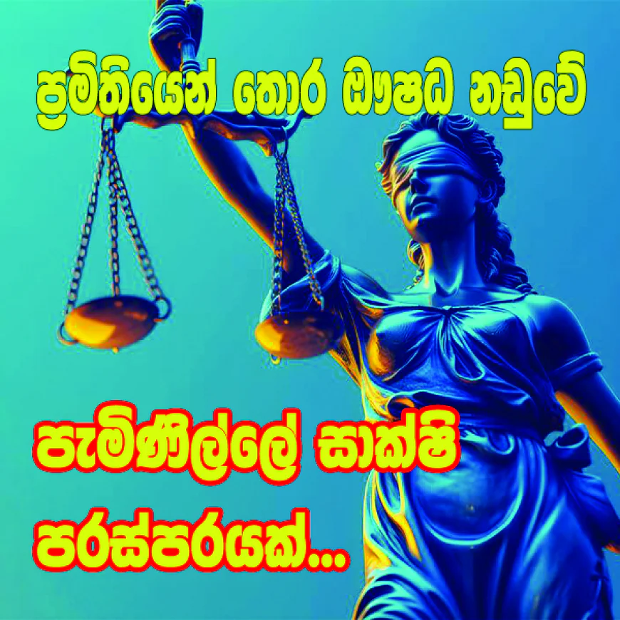 ප්‍රමිතියෙන් තොර ඖෂධ නඩුවේ පැමිණිලිකාරියගේ සාක්ෂි පරස්පරයි...