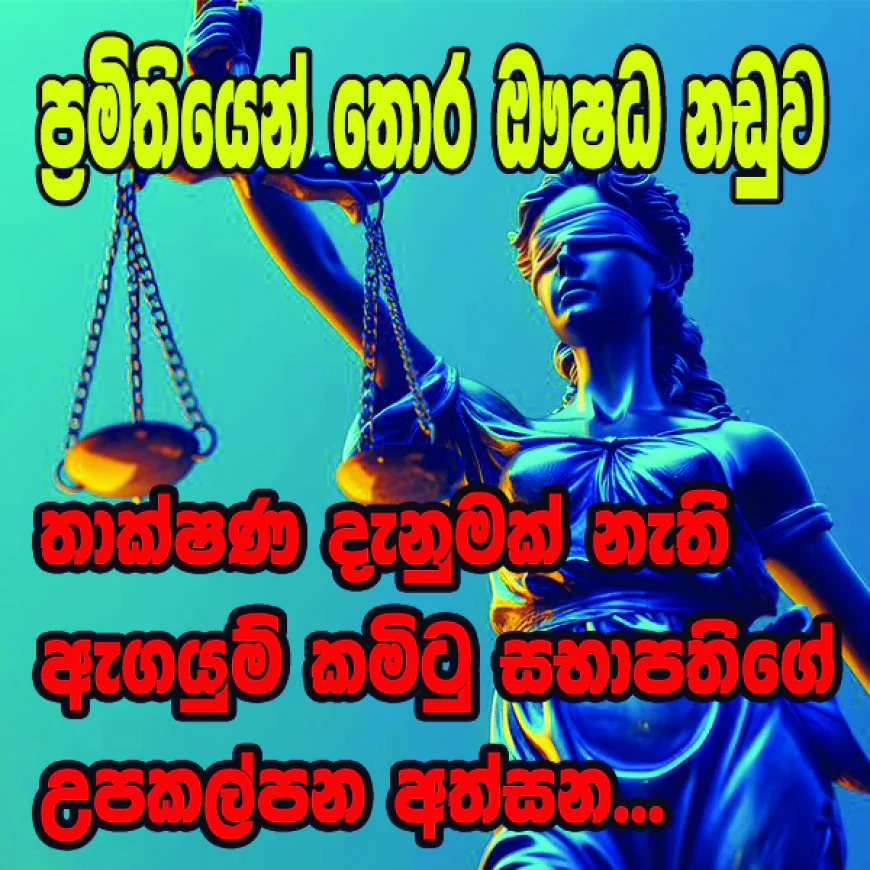 තාක්ෂණ දැනුමක් නැති ඇගයුම් කමිටුවේ සභාපති... උපකල්පන මත අත්සන් කරලා...