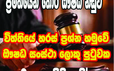 විත්තියේ හරස් ප්‍රශ්න හමුවේ  ඖෂධ සංස්ථා ලොකු පුටුවක  ‘මතකය’ ගිලිහෙයි!