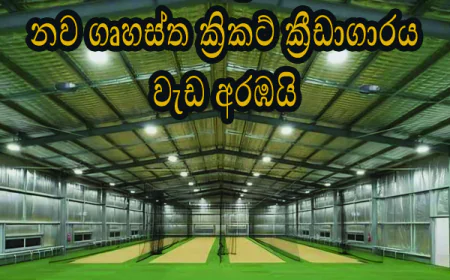 ඩී. එස්. සේනානායක විද්‍යාලයේ ගෘහස්ථ ක්‍රිකට් පුහුණු දැල් ගොඩනැඟිල්ලේ ඉදිකිරීම් කටයුතු ආරම්භ කෙරෙයි.