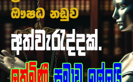 "නඩු භාණ්ඩ මාරුවීම"   අත්වැරදීමක් බව පිලිගෙන   නියෝජ්‍ය සොලිසිටර් ජනරාල්වරිය   මහාධිකරණයෙන් සමාව ඉල්ලයි