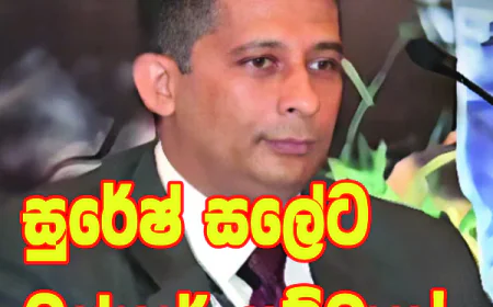 සුරේෂ් සලේට ඔස්කාර් සම්මාන!  දිලීප පීරිස්ගෙන් නිර්දේශයක්...