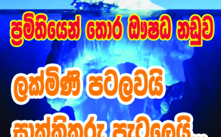 ලක්මිණි පටලවයි සාක්කිකරු පැටලෙයි...