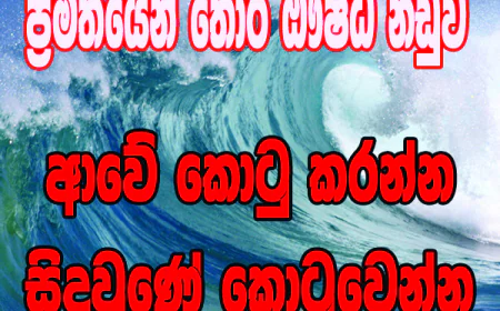 ආවේ කොටු කරන්න...  අන්තිමේ සාක්කිය කොටු‍වෙයි...