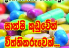 සාක්ෂි කූඩුවේත් විත්තිකරුවෙක්...