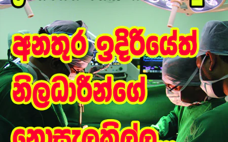 අන්තරායකාරී ඖෂධ තහනම රෝහල්වලට   දැනුම් දෙන්න දින 12ක් අරන්...