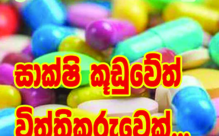 සාක්ෂි කූඩුවේත් විත්තිකරුවෙක්...