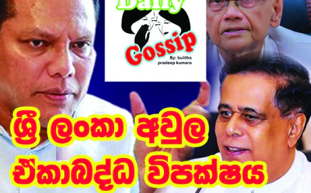 ශ්‍රී ලංකා අවුල ඒකාබද්ධ විපක්ෂය දෙකට කඩයි..!