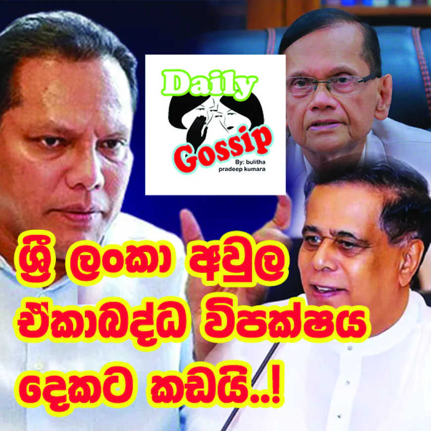 ශ්‍රී ලංකා අවුල ඒකාබද්ධ විපක්ෂය දෙකට කඩයි..!