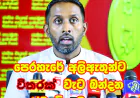 සත්ව අවිහිංසාවට මුවා වී ආණ්ඩුව   යෝජිත සත්ව සුභසාධන පනත ගේන්නේ   සිංහල බෞද්ධ මහා සංස්කෘතියට පහර ගහන්න...