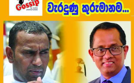 කතානායකගේ  වැරදුණු කුරුමානම...