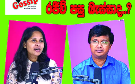 ජනාධිපති හමුවේදී රජීව් පසුබැස්සාද..?